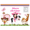 chips zakje cowgirl paarden